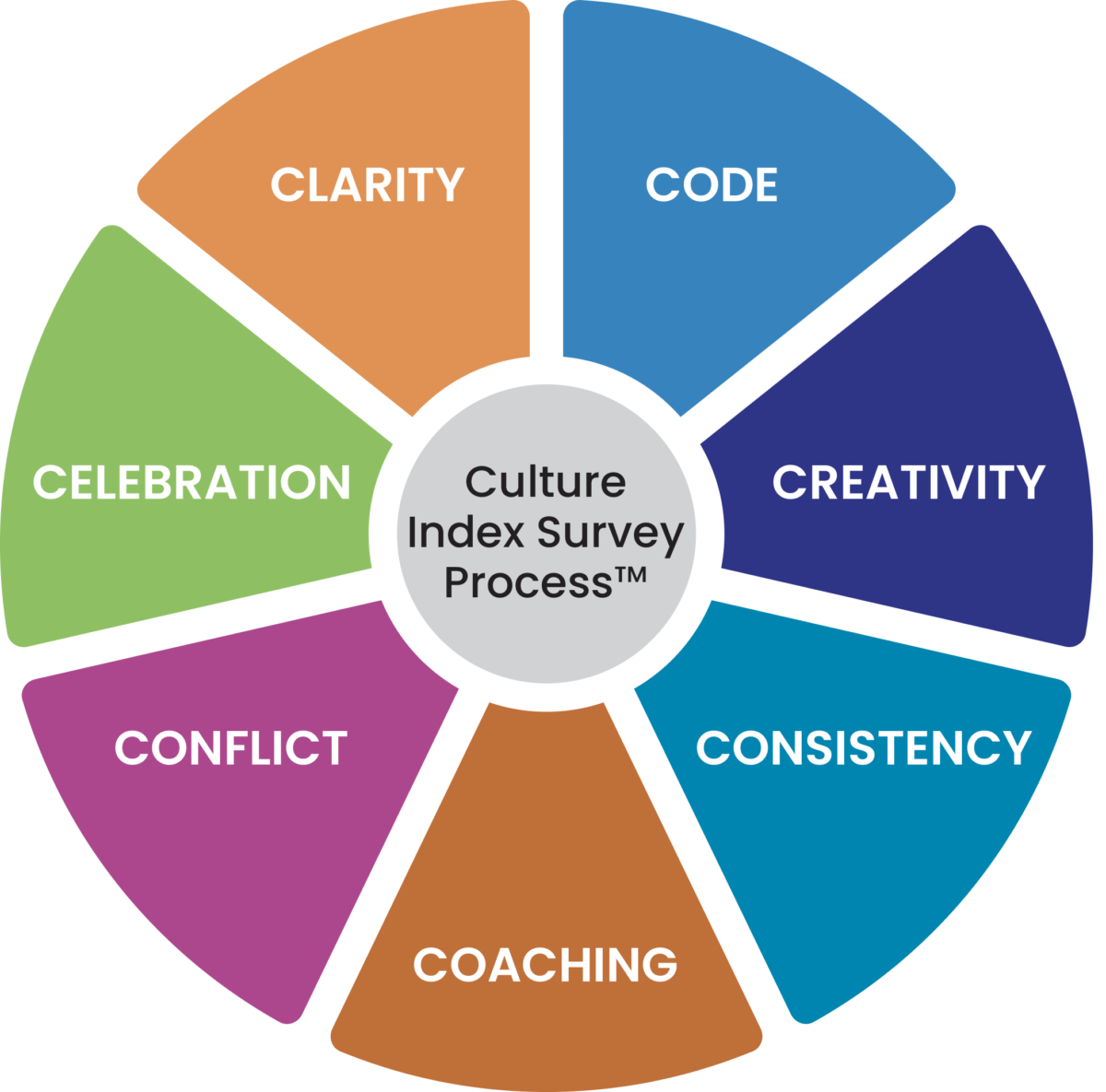 Culture Index Survey process